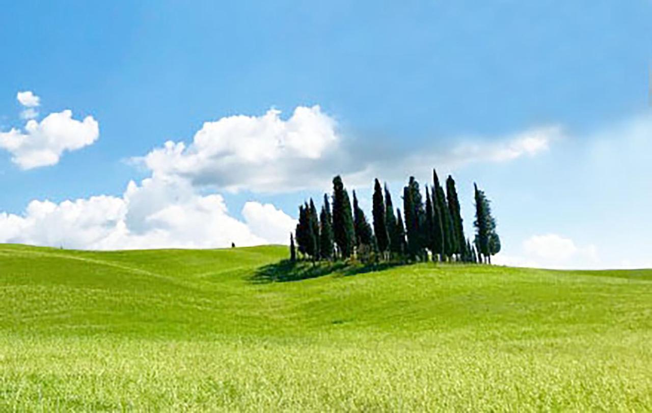 La Casa Nel Poggio 247 Vicino A Siena Lejlighed Ponte a Tressa Eksteriør billede