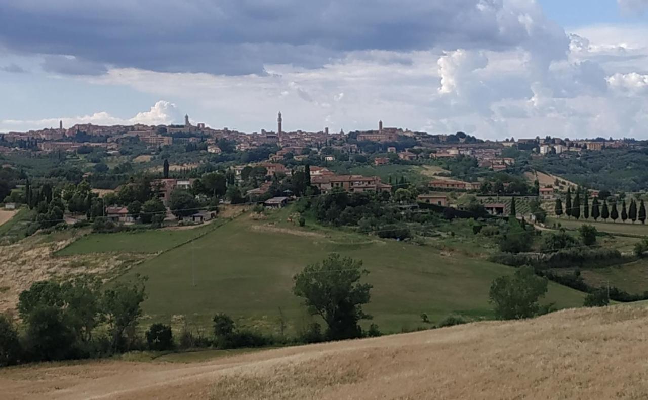 La Casa Nel Poggio 247 Vicino A Siena Lejlighed Ponte a Tressa Eksteriør billede
